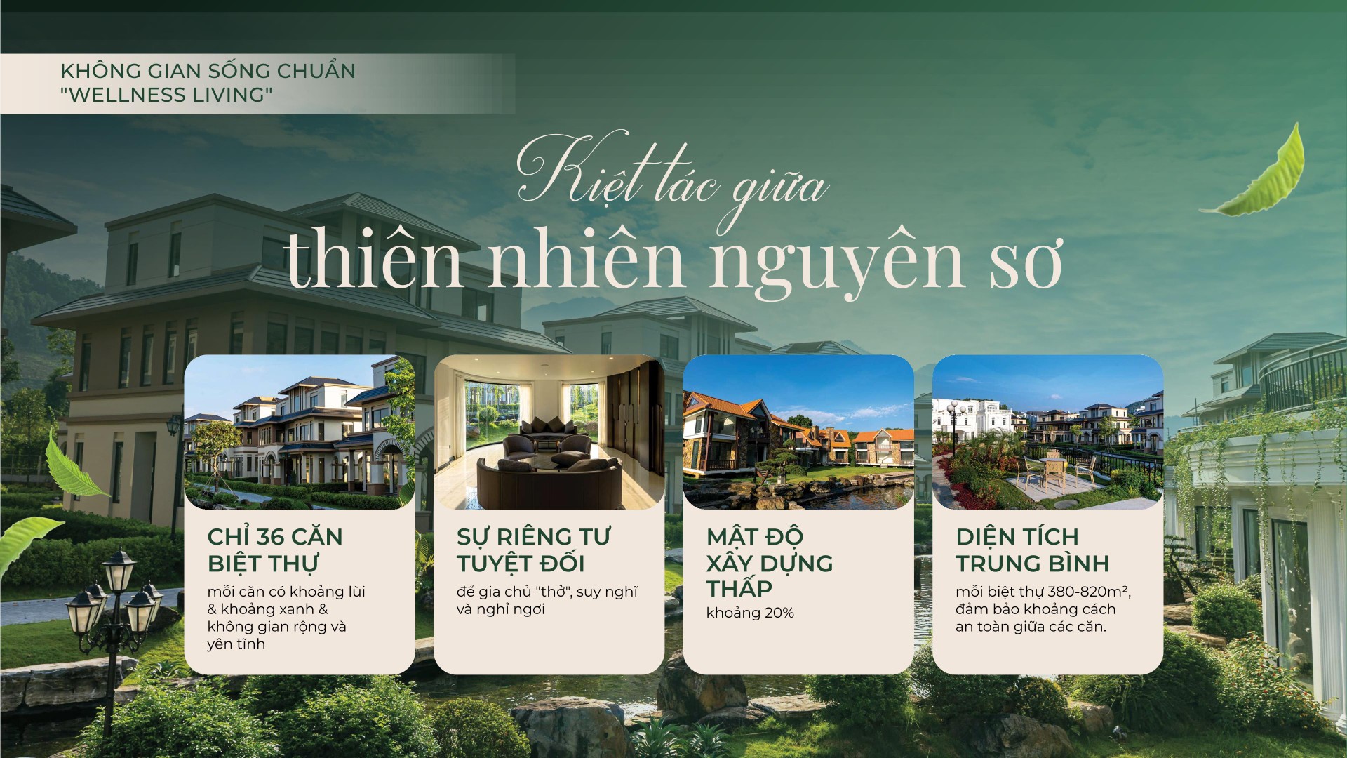 kiet-tac-wealth-kansen-valley Kiet tac wealth kansen valley