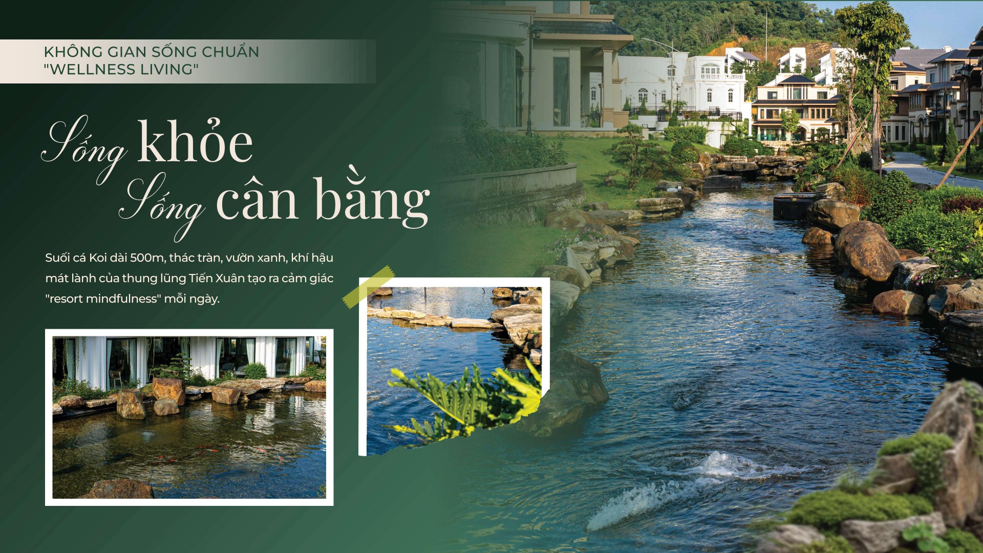 wellness-living-wealth-kansen-valley Wellness living wealth kansen valley